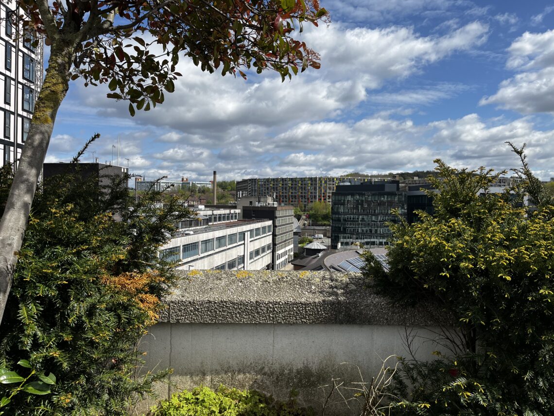 A view from a rooftop garden with leafy shrubs in the foreground, overlooking modern city buildings under a partly cloudy blue sky. Rectangular, colorful windows are visible on a distant building. A tree with red leaves frames the top left corner.