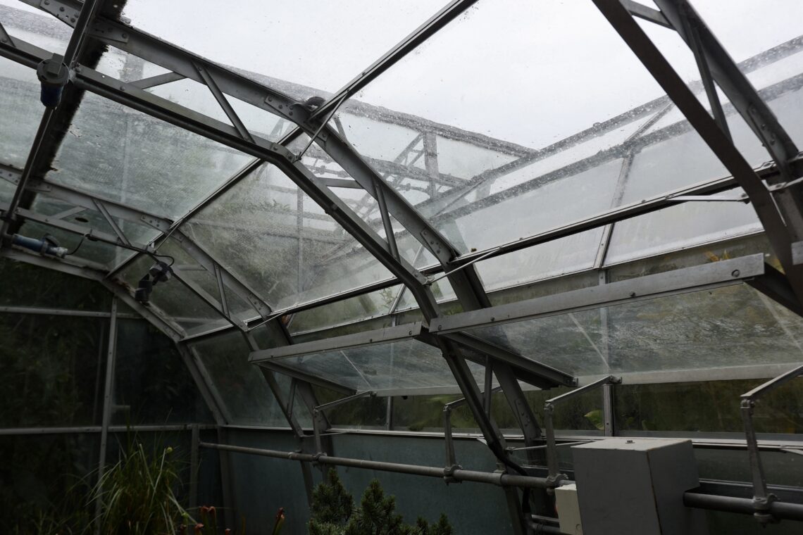 A view of the inside of a glasshouse showing a metal and glass frame structure. The glass panels are foggy and streaked with water, indicating humidity or recent rain. Some green plants are visible in the lower left corner. The sky outside looks overcast.