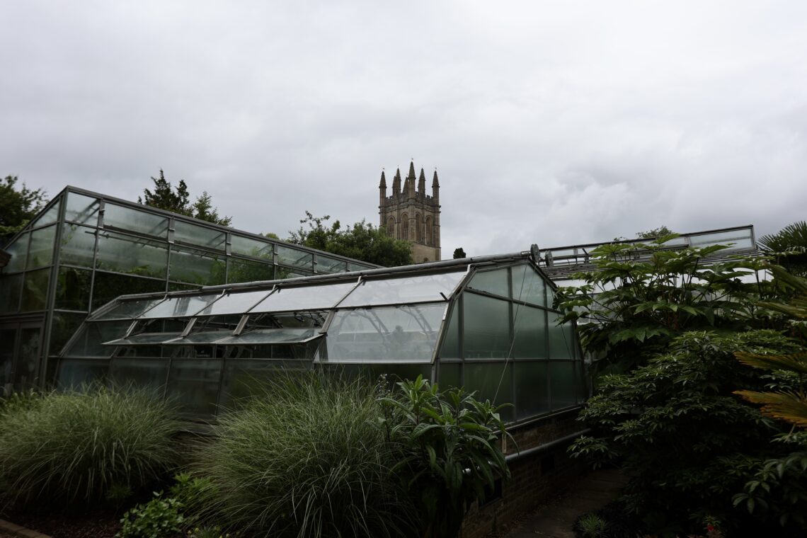 A glass glasshouse surrounded by lush green plants sits under a cloudy sky. In the background, a tall, historic stone tower with pointed spires rises above the trees. The scene appears calm and overcast.