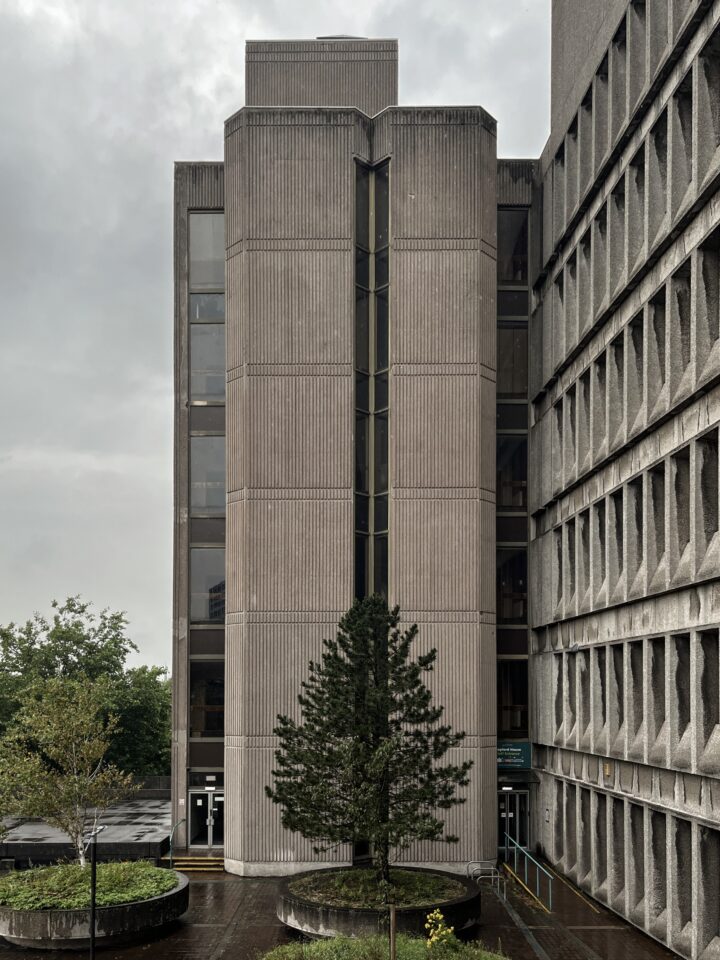A tall, grey concrete building with vertical lines stands on a rainy day. A pine tree grows in a circular planter at the centre front. The building has narrow windows and a modern, brutalist architectural style. Trees and wet pavement are visible in the foreground.