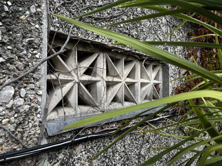 A rectangular vent with geometric concrete designs sits in a rough, pebbled grey wall. Bare vines criss-cross the vent, and cables run below it. Green spiky plant leaves partially obscure the right side of the image.