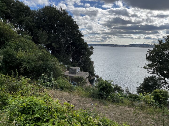 A concrete structure with graffiti sits on a wooded slope overlooking a calm body of water. Dense green trees and bushes frame the scene, whilst clouds scatter across a blue sky. Distant land is visible across the water.