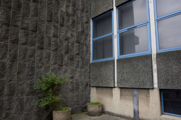 A small green plant grows in a round, textured pot on a concrete surface near a rough, dark stone wall and the corner of a building with blue-framed windows. Another empty pot with sparse grass sits nearby. The scene is overcast and quiet.