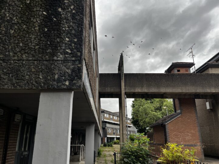 London council estate with a concrete walkway connecting two buildings. Dark, overcast sky with birds flying overhead. Foreground features textured wall, entrance with pillars, and greenery. Brick homes and trees visible further back, creating an urban scene.