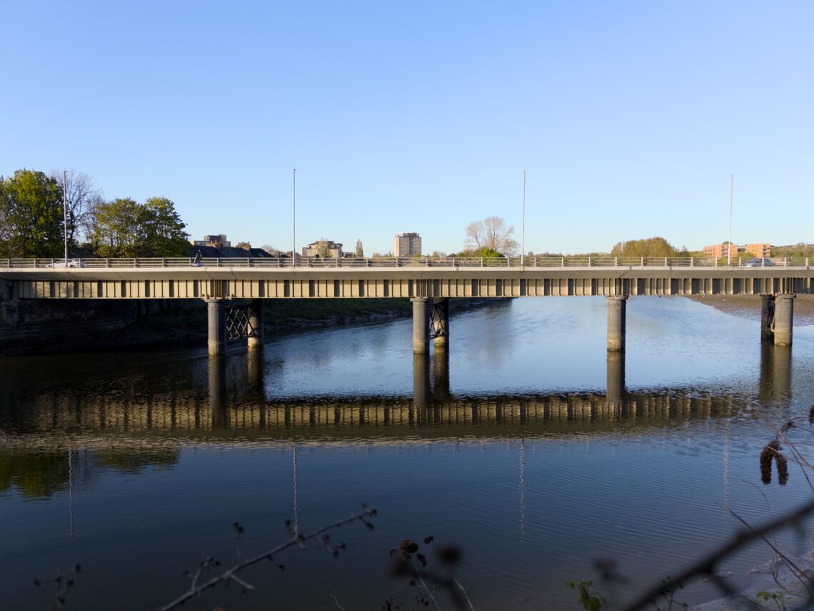 A modern bridge with vertical supports spans a calm river, reflecting in the water. Sparse trees and urban buildings are visible in the background under a clear blue sky. The scene is tranquil, with even lighting and green foliage on the left.