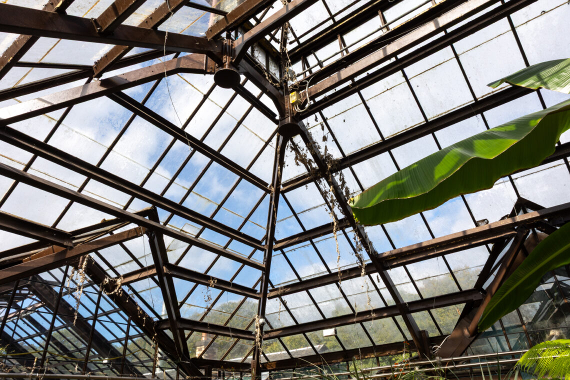 View of a glass greenhouse ceiling with a black metal frame. Sunlight shines through the glass panes, some of which are dirty. Green tropical plant leaves are visible in the lower right corner. Blue sky and clouds are seen through the roof.