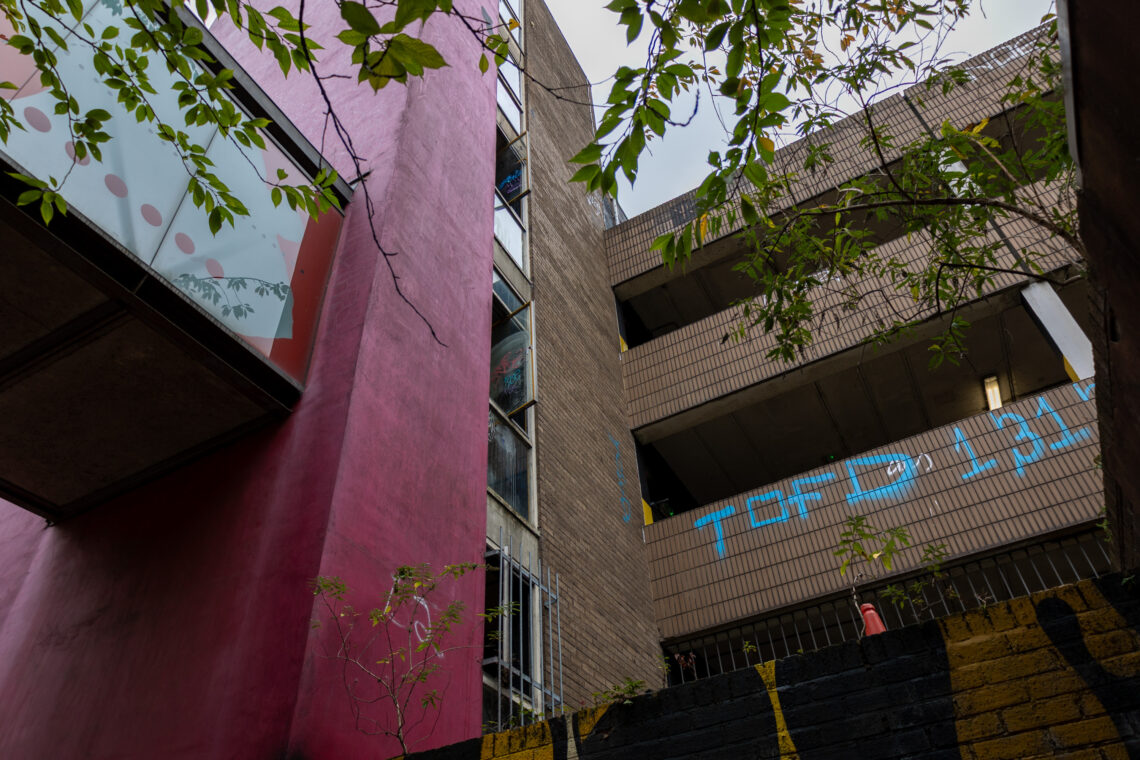 Photo taken from a low angle shows a pink building with glass windows on the left, a beige tiled building on the right with blue graffiti, leafy branches overhead, and a cloudy sky visible in the background.