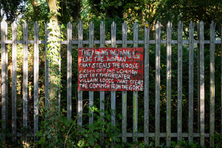 A red, hand-painted sign with white text hangs on a tall metal fence surrounded by greenery, plants, and trees. The sign reads: They hang the man & flog the woman that steals the goose from off the common but let the greater villain loose that steals the common from the goose