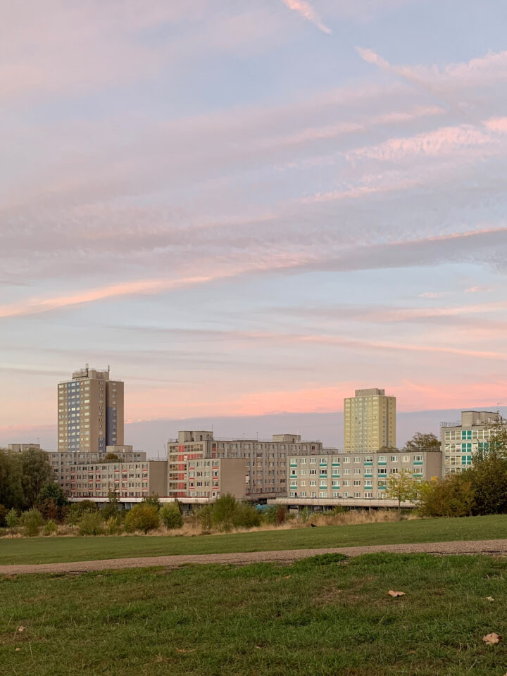 Several mid-rise and high-rise block of flats stand under a pastel pink and blue sky at sunset. The foreground features a grassy field with a path, whilst trees border the residential structures. Wispy clouds stretch across the sky.